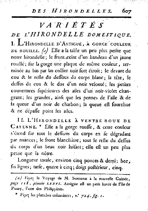 Variétés de l'Hirondelle domestique.