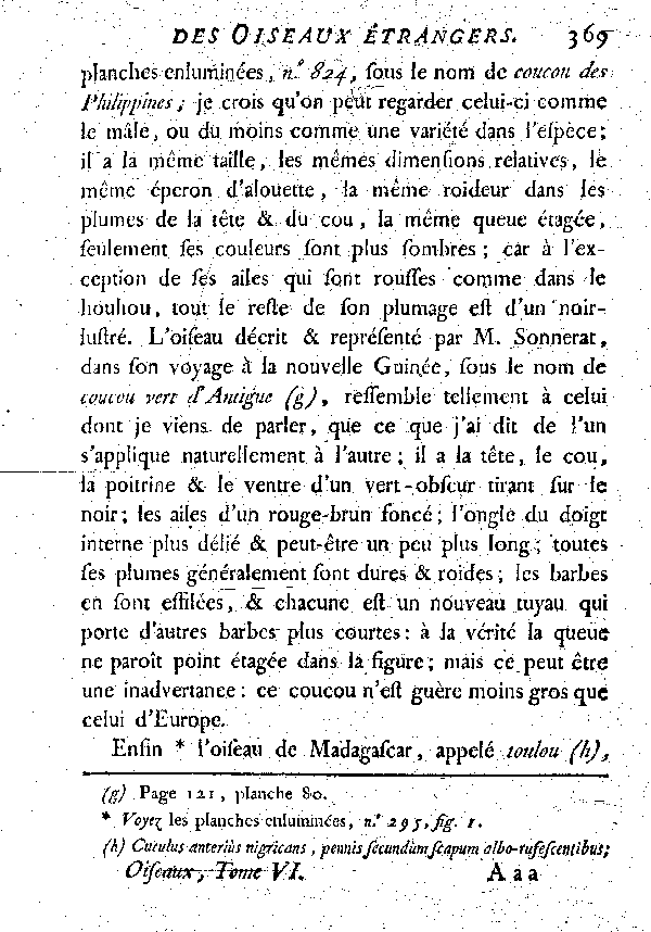 V. Le Houhou d'égypte.