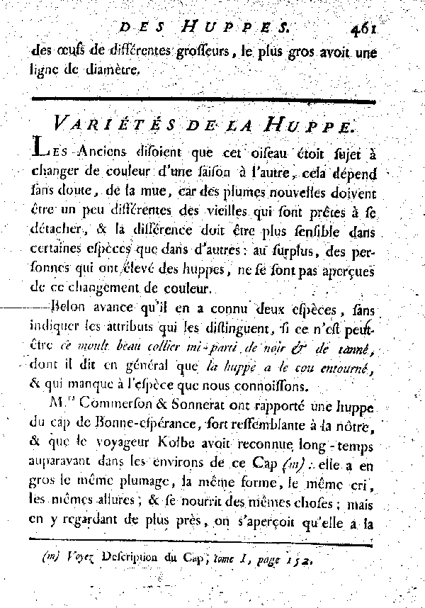 Variétés de la Huppe.