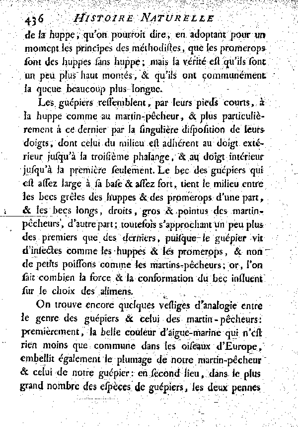 LES HUPPES, les Promerops et les Guépiers.