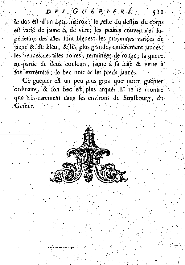 L'Ictérocephale ou le Guépier à tête jaune.