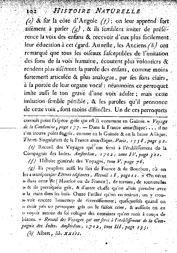 Le Jaco ou Perroquet cendré.