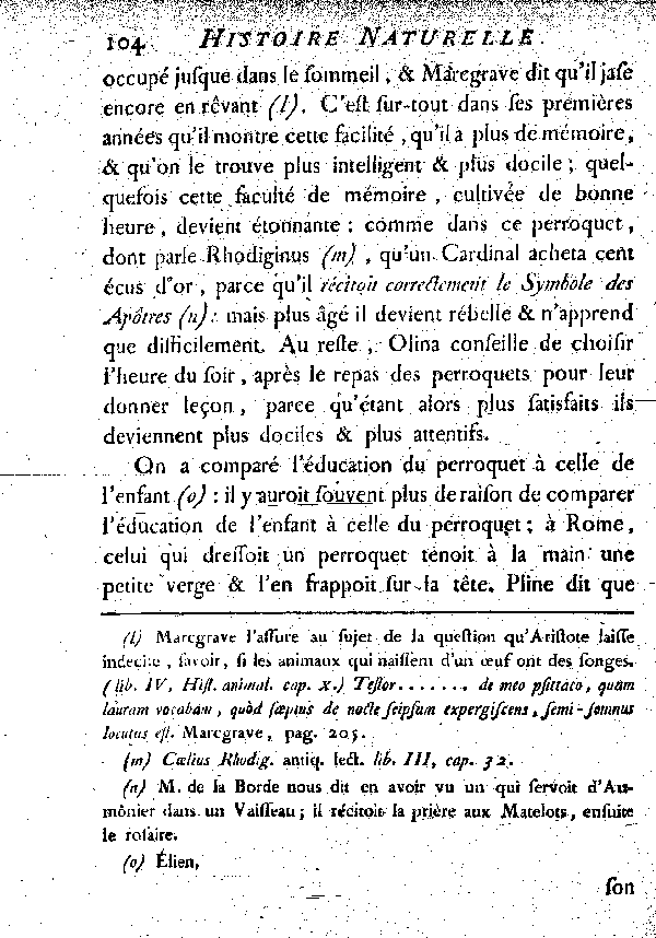 Le Jaco ou Perroquet cendré.