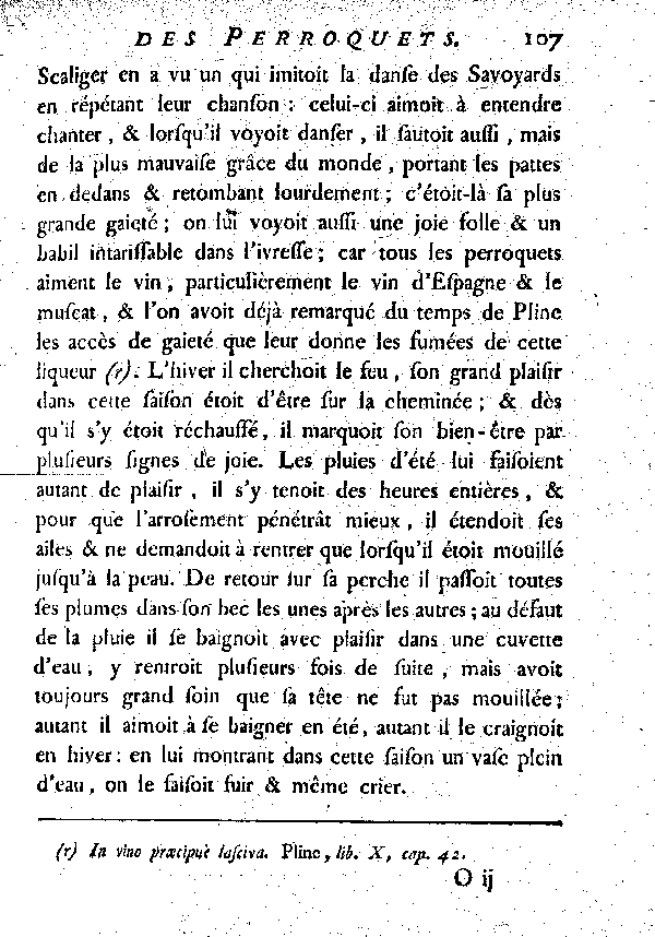 Le Jaco ou Perroquet cendré.