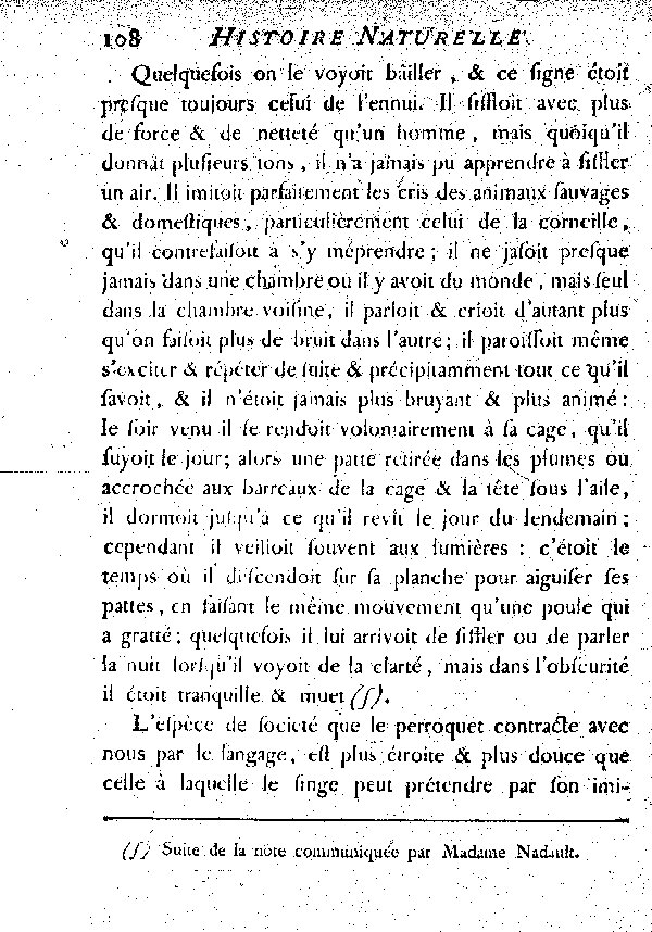 Le Jaco ou Perroquet cendré.