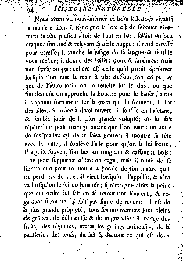 Le Kakatoës à huppe jaune.