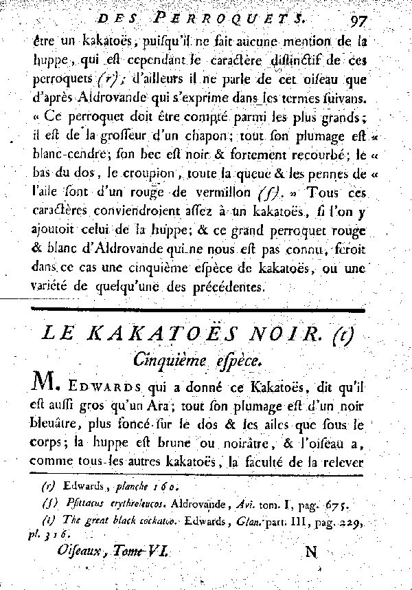 Le Kakatoës noir.