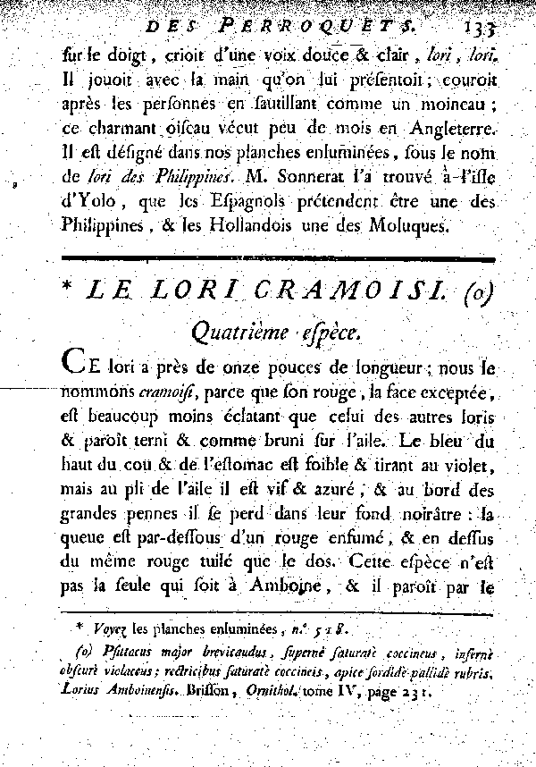 Le Lori cramoisi.