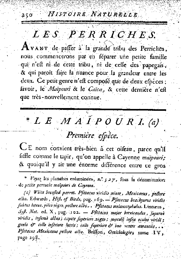 Le Maïpouri.