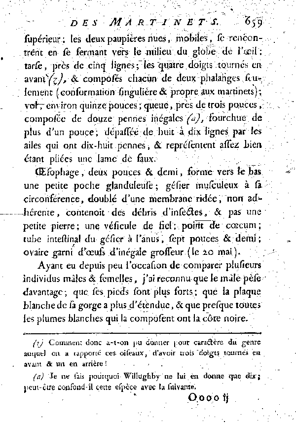 LE MARTINET NOIR.