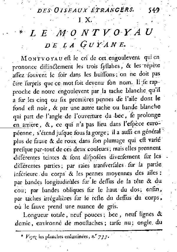 IX. Le Montvoyau de la Guyane.