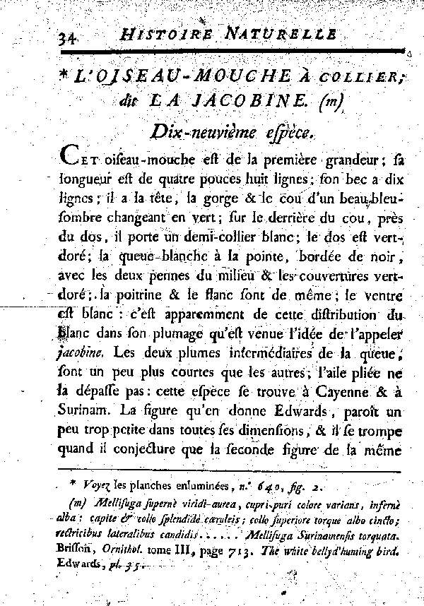 L'Oiseau-mouche à collier, dit la Jacobine. Dix-.