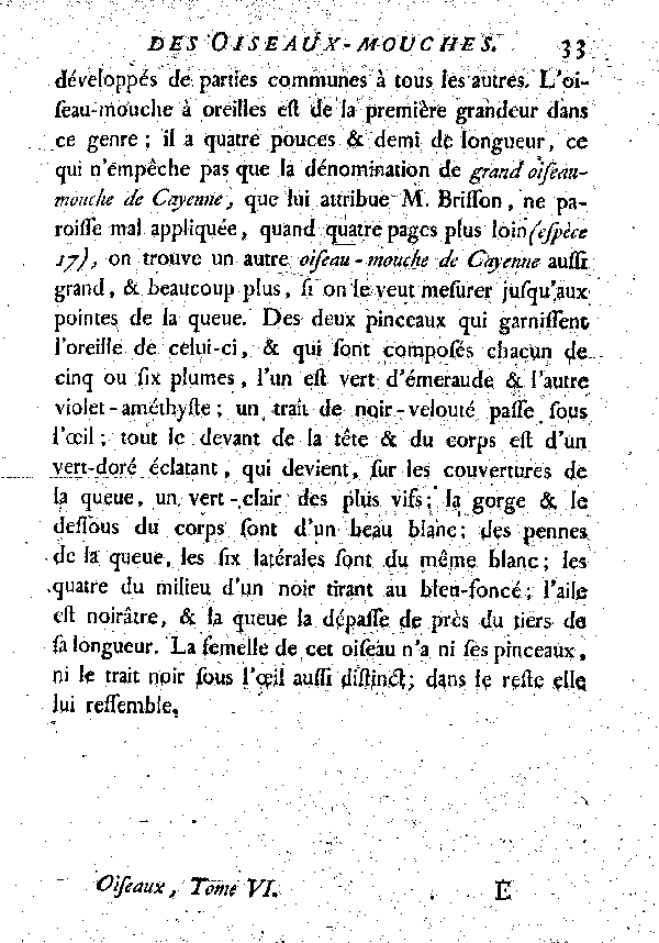 L'Oiseau-mouche à oreilles. Dix-.