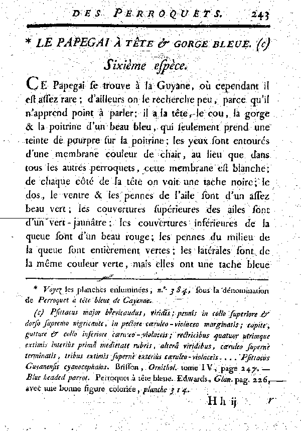 Le Papegai à tête et gorge bleues.