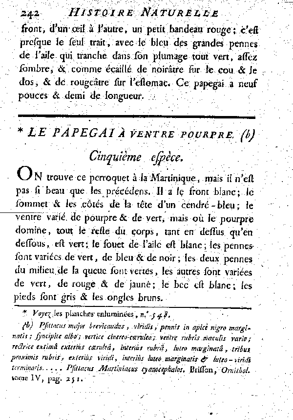 Le Papegai à ventre pourpre.