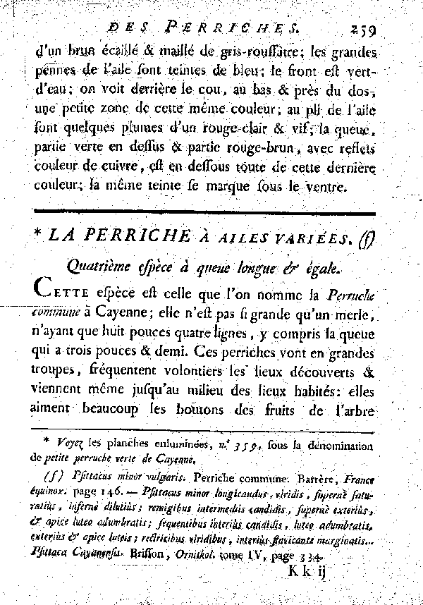 La Perriche à ailes variées. , à queue longue et égale.