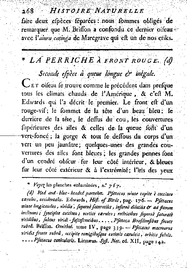 La Perriche à front rouge. , à queue longue et inégale.