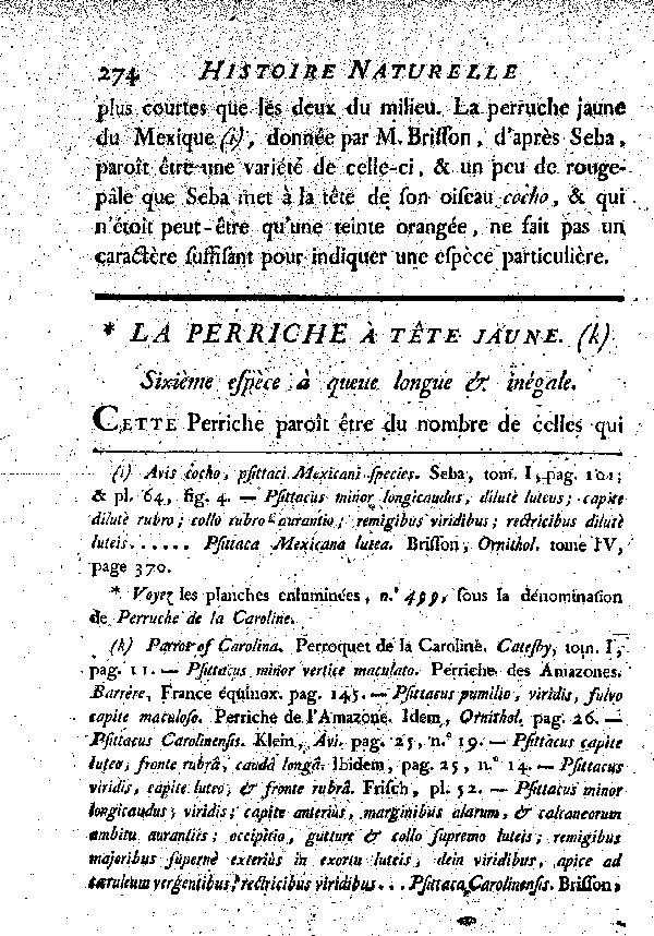 La Perriche à tête jaune. , à queue longue et inégale.