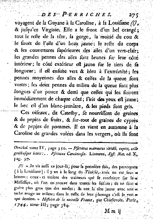 La Perriche à tête jaune. , à queue longue et inégale.