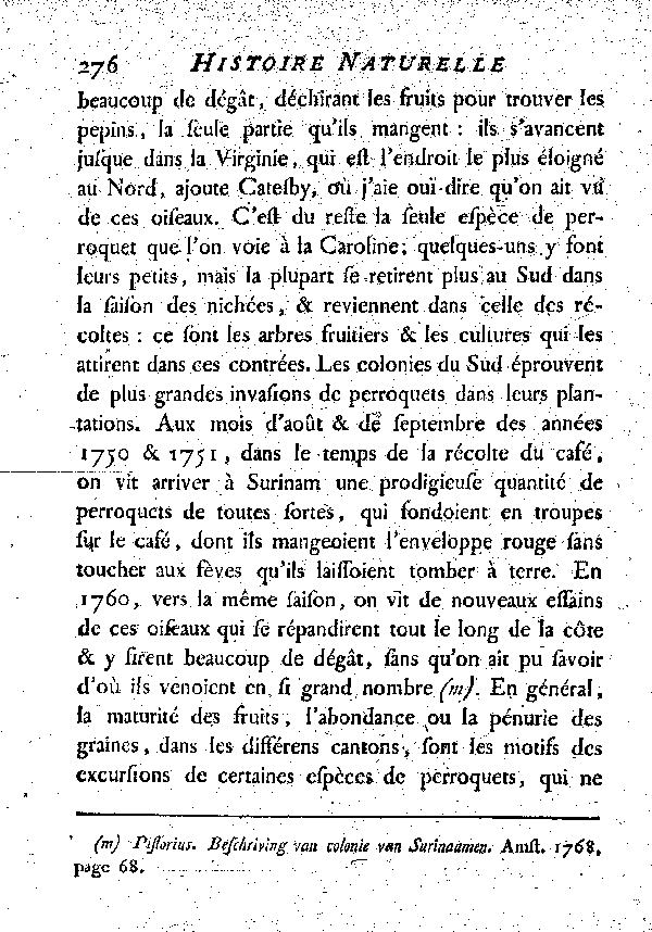 La Perriche à tête jaune. , à queue longue et inégale.