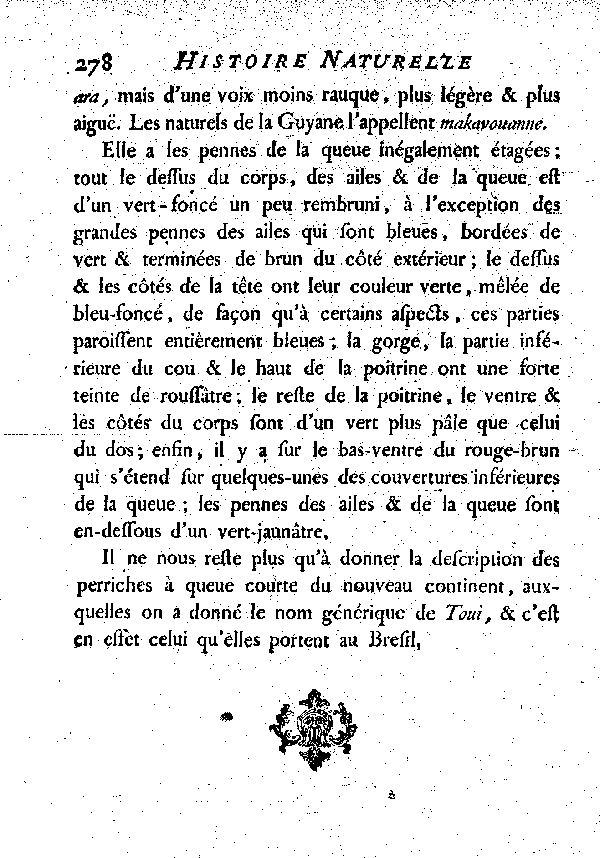 La Perriche - ara. , à queue longue et inégale.