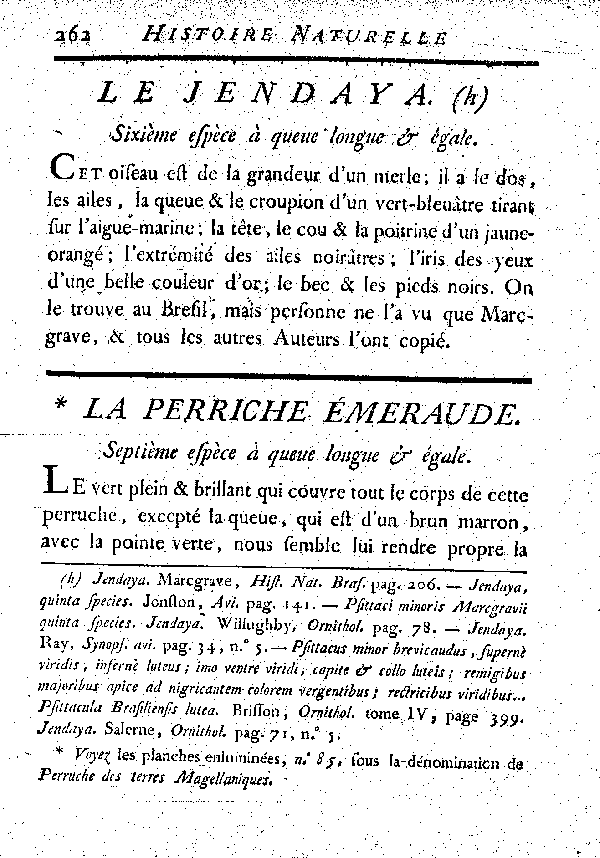 La Perriche émeraude. , à queue longue et égale.