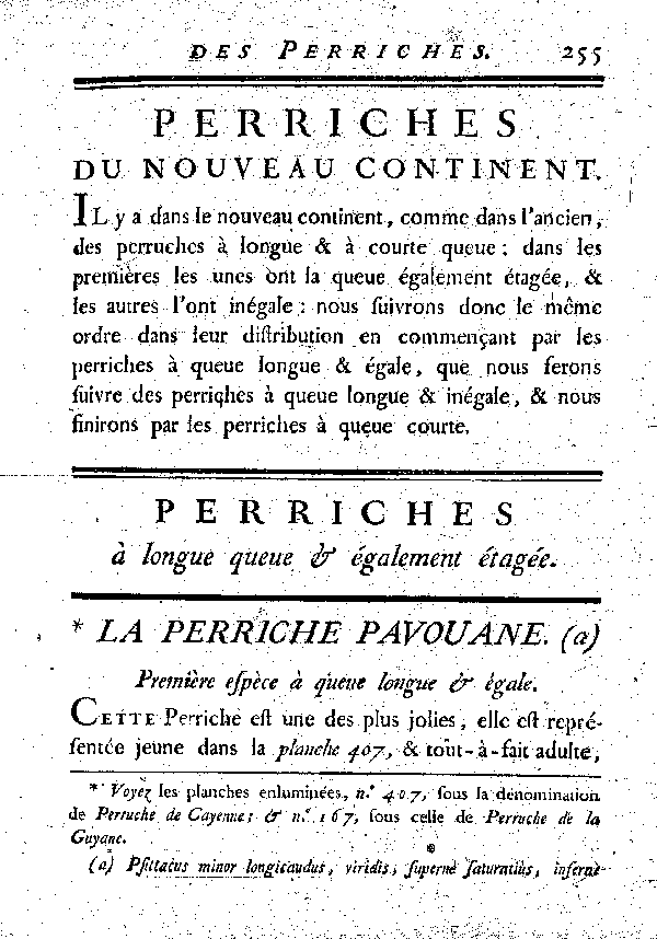 La Perriche pavouane. , à queue longue et égale.