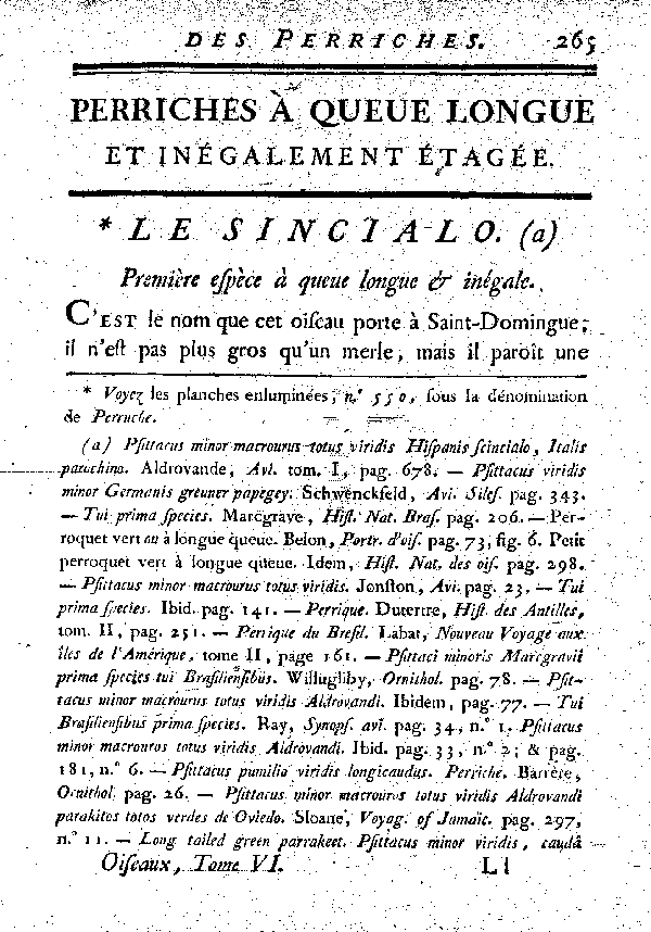 Le Sincialo. , à queue longue et inégale.