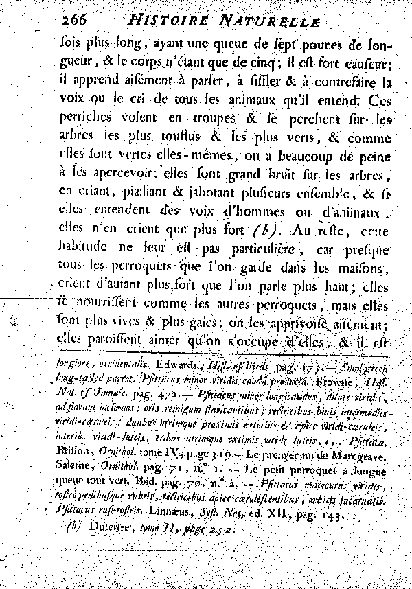 Le Sincialo. , à queue longue et inégale.