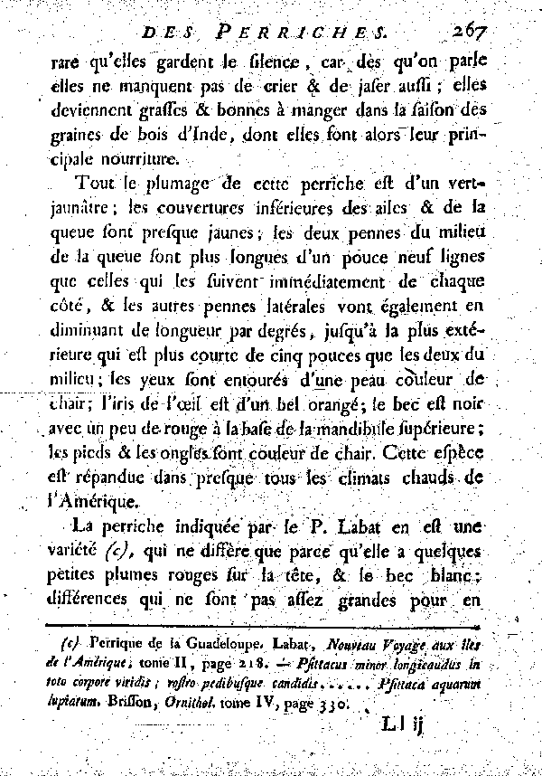 Le Sincialo. , à queue longue et inégale.