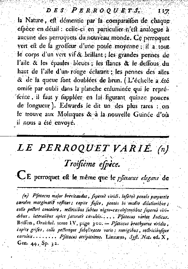 Le Perroquet varié.