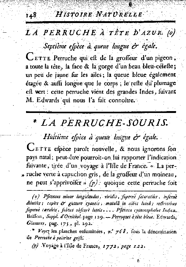 La Perruche-souris. , à queue longue et égale.