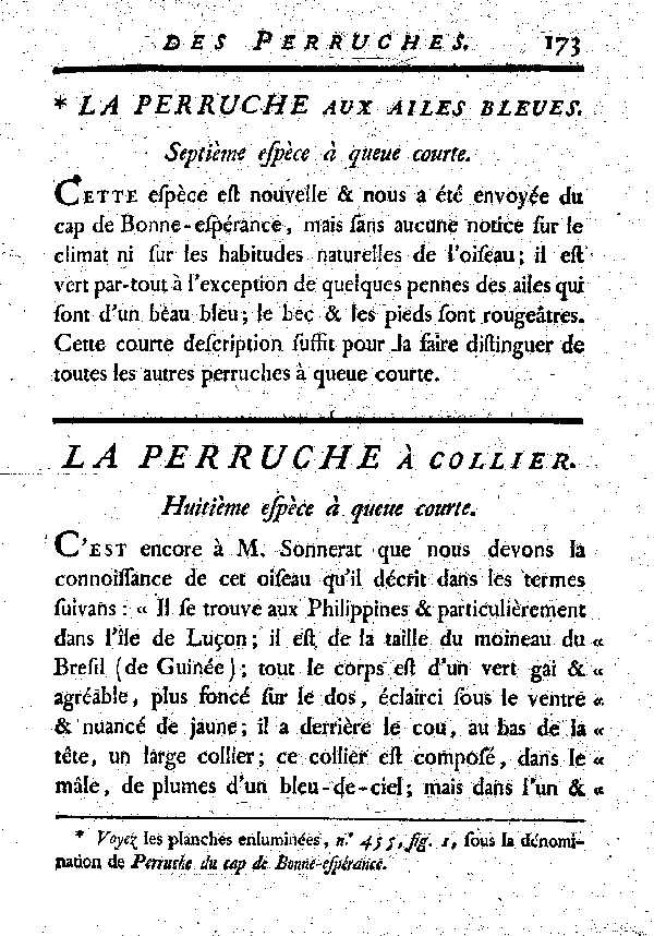 La Perruche à collier. , à queue courte.