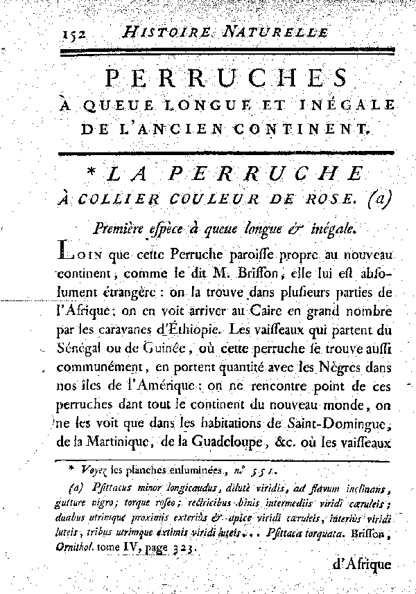 La Perruche à collier couleur de rose. , à queue longue et inégale.