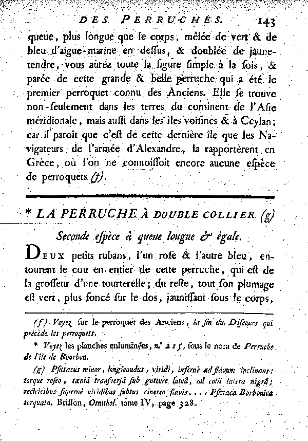 La Perruche à double collier. , à queue longue et égale.