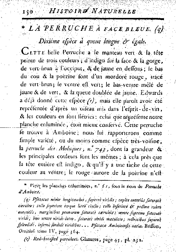 La Perruche à face bleue. , à queue longue et égale.