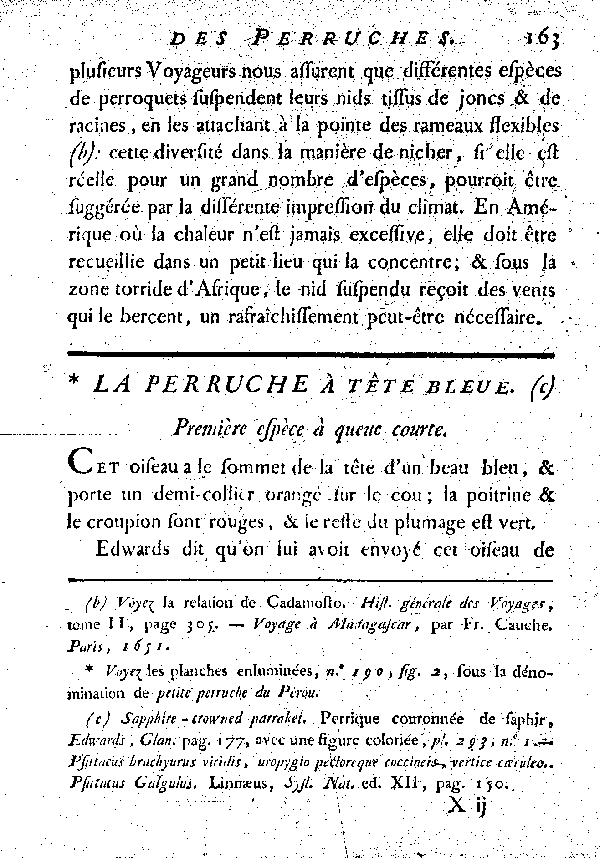 La Perruche à tête bleue. , à queue courte.