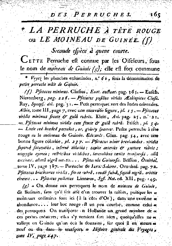 La Perruche à tête rouge ou le Moineau de Guinée. , à queue courte.