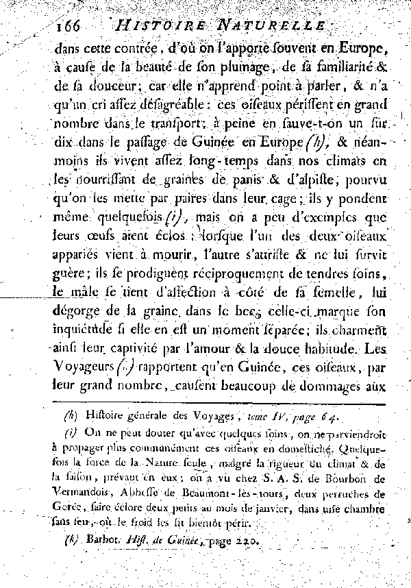 La Perruche à tête rouge ou le Moineau de Guinée. , à queue courte.