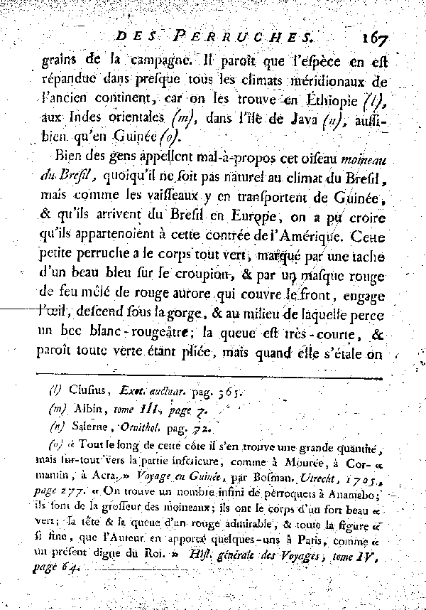 La Perruche à tête rouge ou le Moineau de Guinée. , à queue courte.