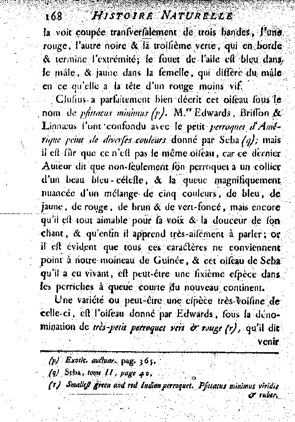 La Perruche à tête rouge ou le Moineau de Guinée. , à queue courte.