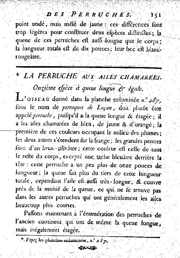 La Perruche aux ailes chamarées. , à queue longue et égale.