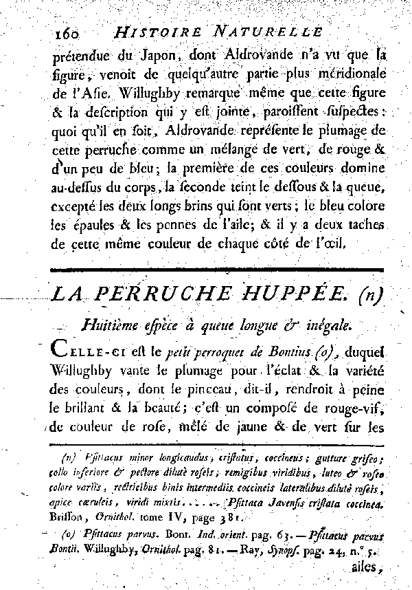 La Perruche huppée. , à queue longue et inégale.