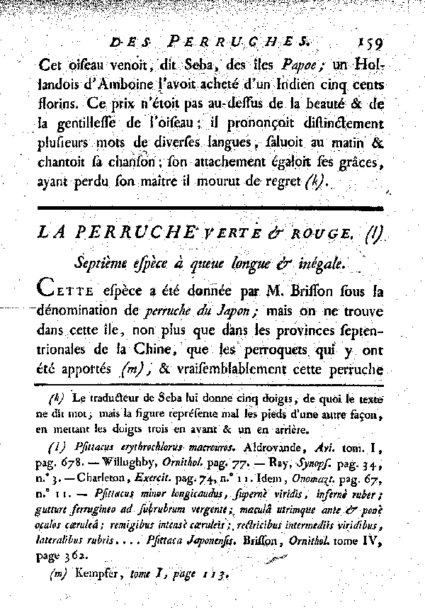 La Perruche verte et rouge. , à queue longue et inégale.