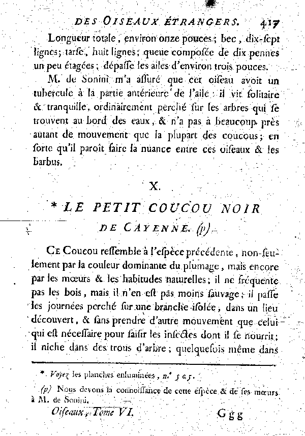 X. Le petit Coucou noir de Cayenne.