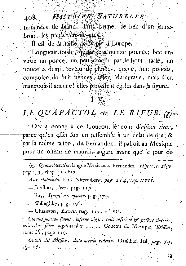 IV. Le Quapactol ou le Rieur.