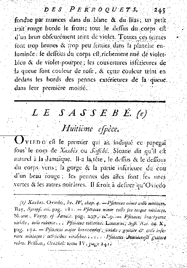 Le Sassebé.