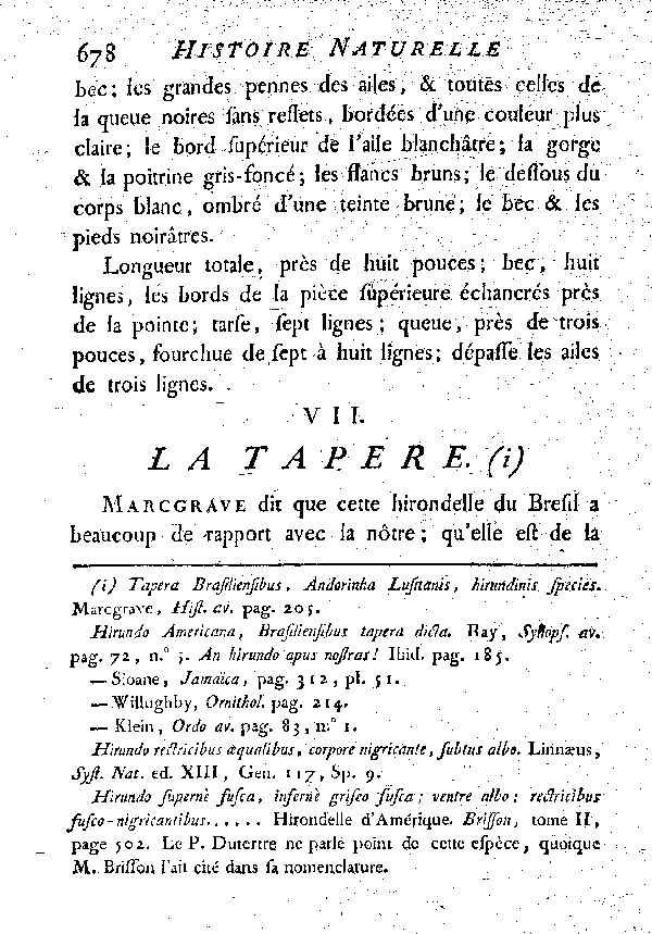 VII. La Tapere.