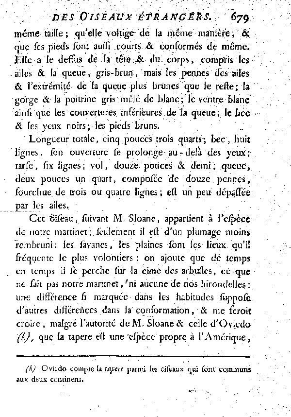 VII. La Tapere.