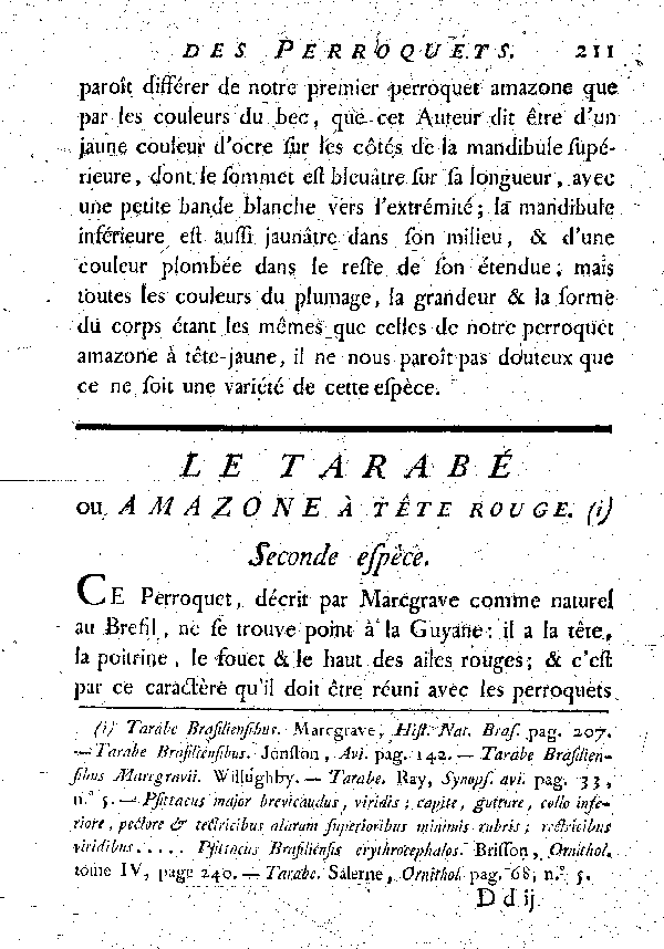 Le Tarabé ou Amazone à tête rouge.